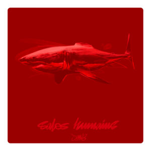 Shark
