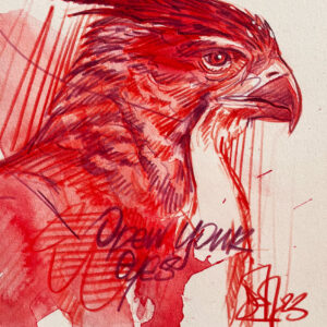 VALDEZ IN THE COUNTRY